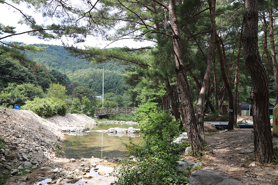 금물산하늘소캠프 여행 추천 - 메고지고