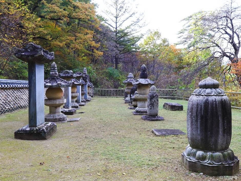 명주사부도군 여행 추천 - 메고지고 명주사부도군 여행 추천 - 메고지고
