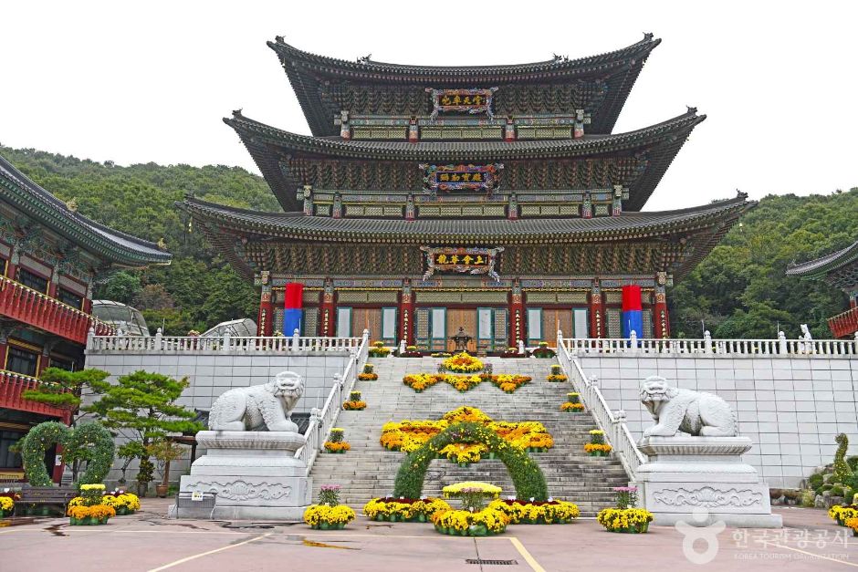 대광사(성남) 여행 추천 - 메고지고 대광사(성남) 여행 추천 - 메고지고