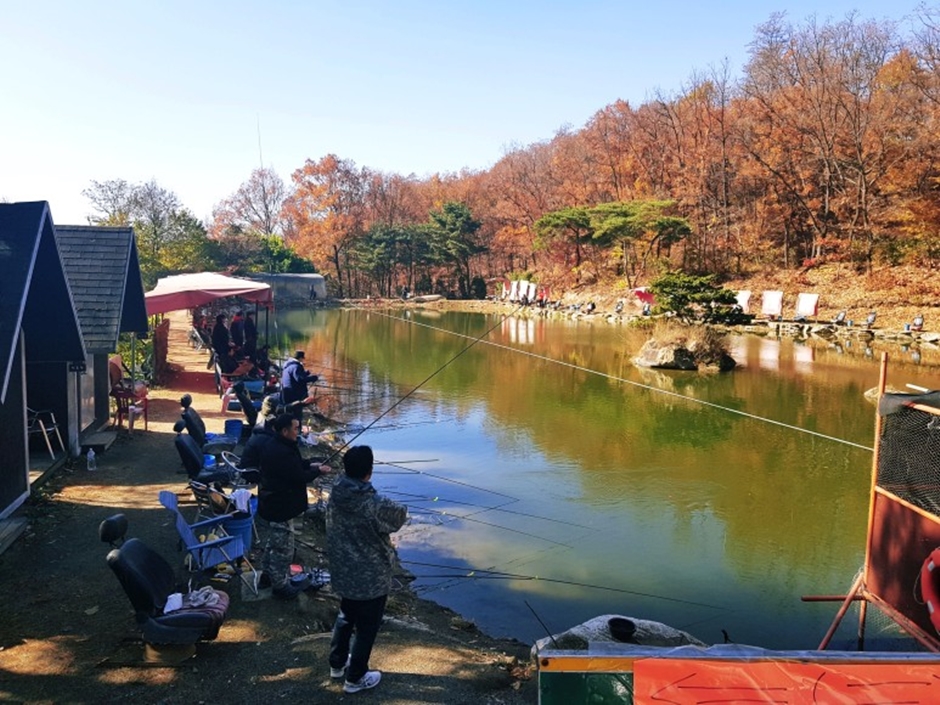 칠봉산낚시터 여행 추천 - 메고지고 칠봉산낚시터 여행 추천 - 메고지고