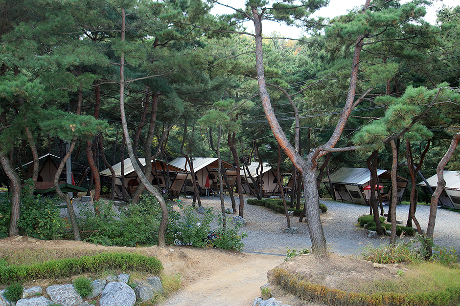 휴리조트 여행 추천 - 메고지고