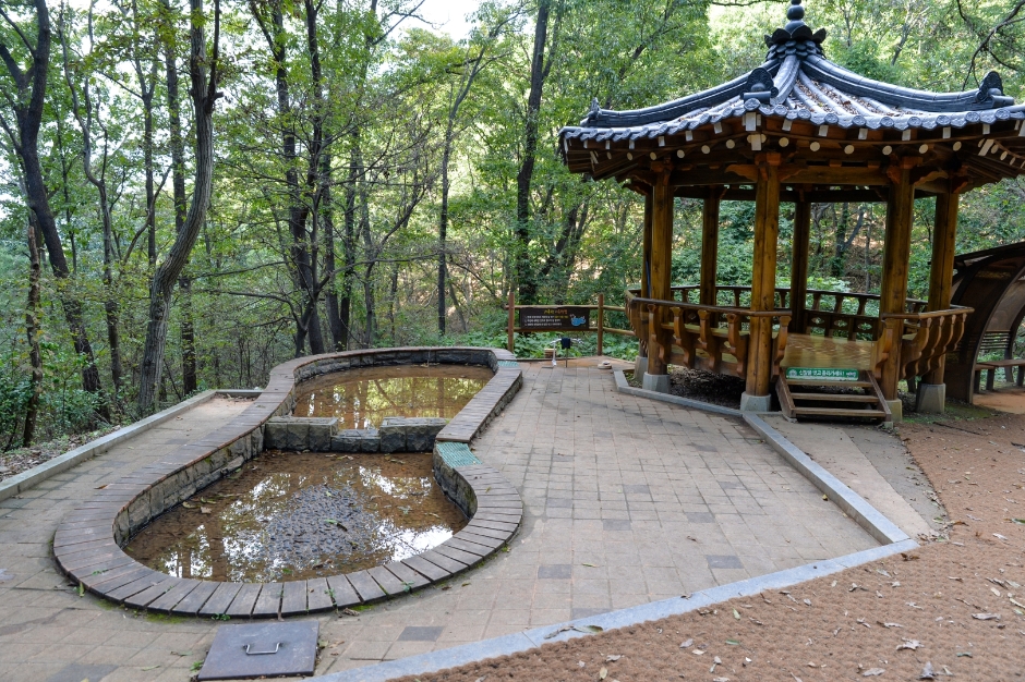 장동산림욕장 여행 추천 - 메고지고 장동산림욕장 여행 추천 - 메고지고