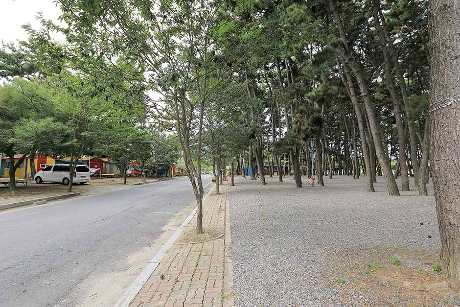춘장대나드리캠핑장 여행 추천 - 메고지고 춘장대나드리캠핑장 여행 추천 - 메고지고