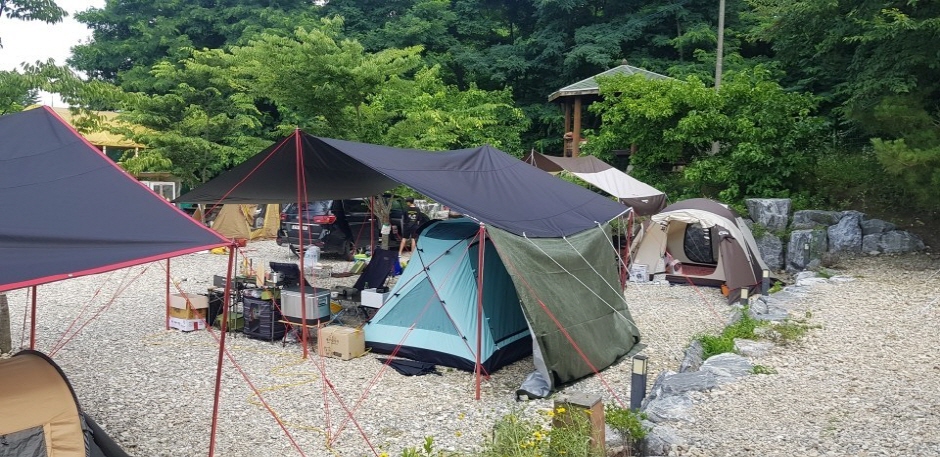 월선캠핑장 여행 추천 - 메고지고 월선캠핑장 여행 추천 - 메고지고