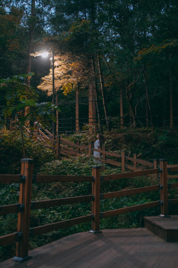 보문산 행복 숲 둘레길 여행 추천 - 메고지고 보문산 행복 숲 둘레길 여행 추천 - 메고지고