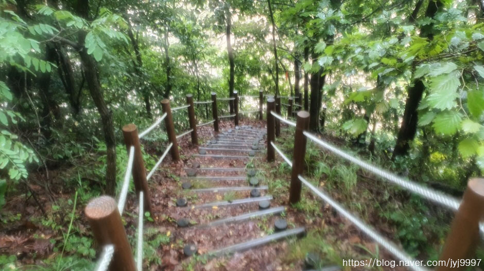 [대부해솔길] 2코스 여행 추천 - 메고지고