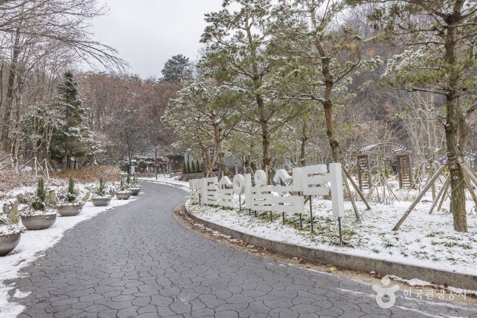 빨래골 여행 추천 - 메고지고