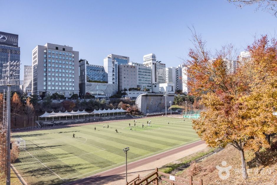 대치유수지체육공원 여행 추천 - 메고지고 대치유수지체육공원 여행 추천 - 메고지고
