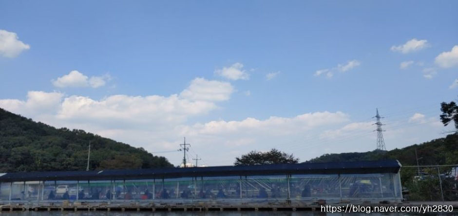 왕골낚시터 여행 추천 - 메고지고 왕골낚시터 여행 추천 - 메고지고