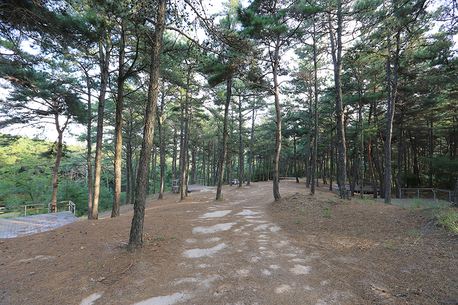 파인힐캠프 여행 추천 - 메고지고 파인힐캠프 여행 추천 - 메고지고