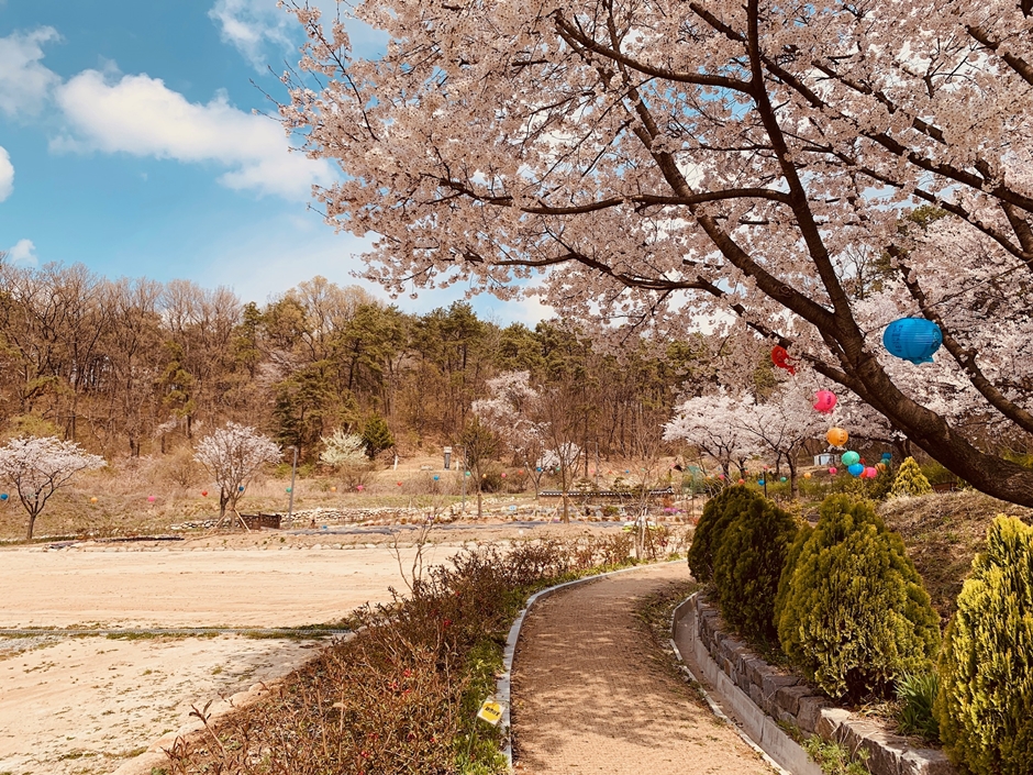 보현선원 여행 추천 - 메고지고 보현선원 여행 추천 - 메고지고