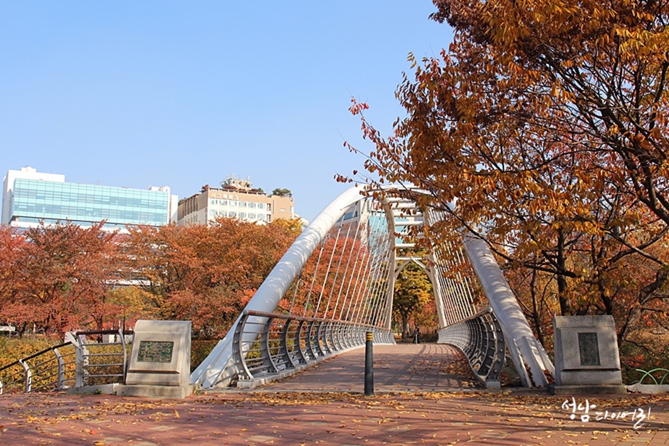 황새울공원 여행 추천 - 메고지고 황새울공원 여행 추천 - 메고지고