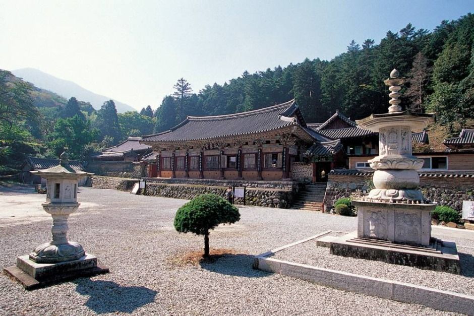 옥천사(고성) 여행 추천 - 메고지고 옥천사(고성) 여행 추천 - 메고지고