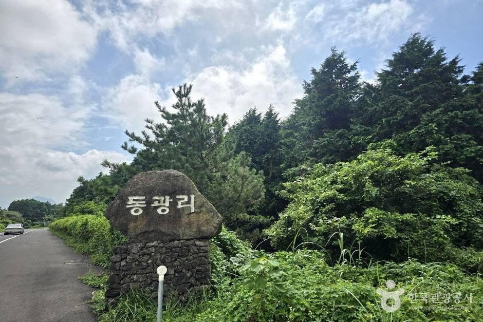 감낭오름 여행 추천 - 메고지고 감낭오름 여행 추천 - 메고지고
