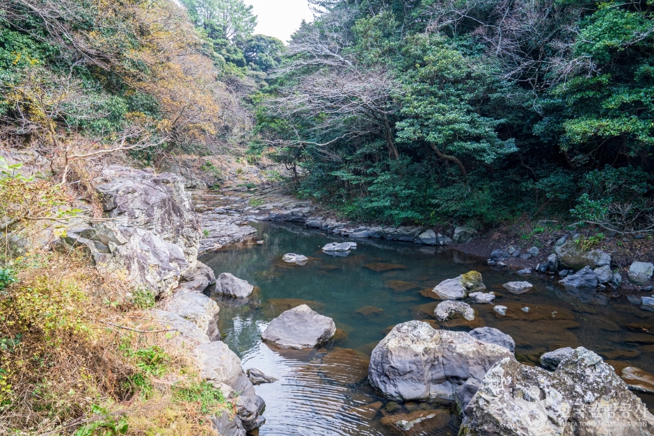 안덕계곡 여행 추천 - 메고지고 안덕계곡 여행 추천 - 메고지고
