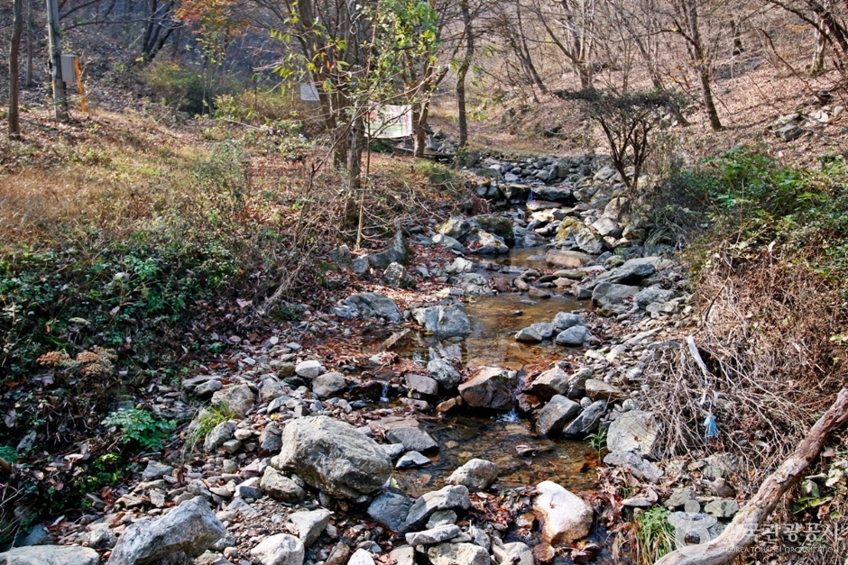 냉천골 여행 추천 - 메고지고 냉천골 여행 추천 - 메고지고