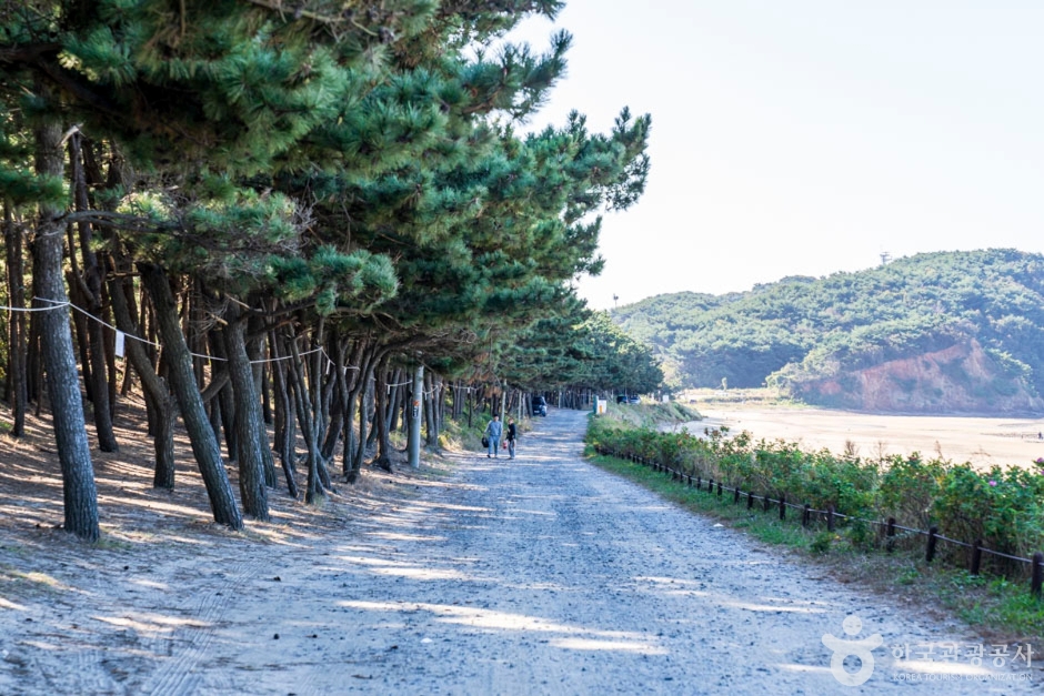 밧개해수욕장 여행 추천 - 메고지고 밧개해수욕장 여행 추천 - 메고지고