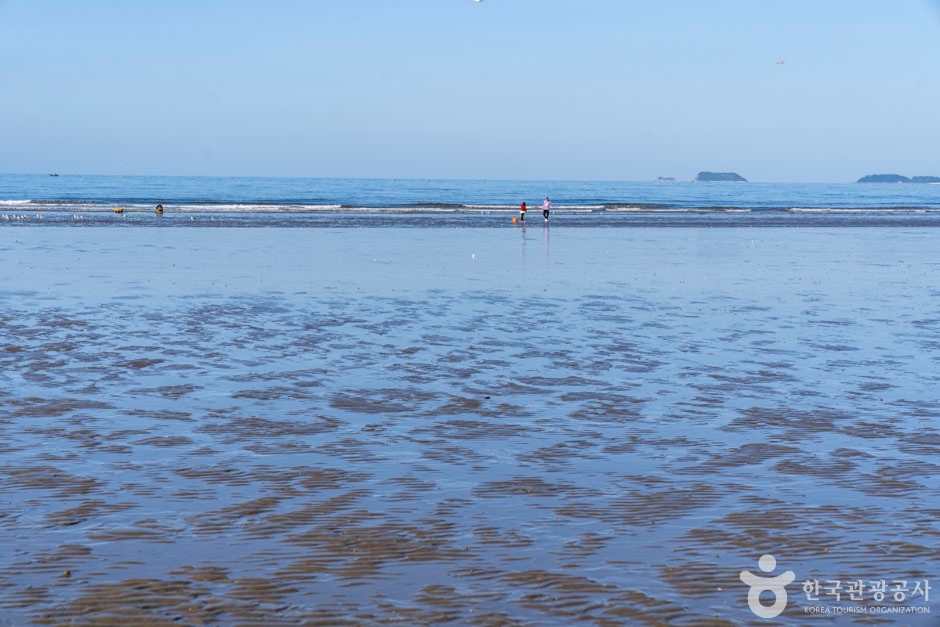 밧개해수욕장 여행 추천 - 메고지고 밧개해수욕장 여행 추천 - 메고지고