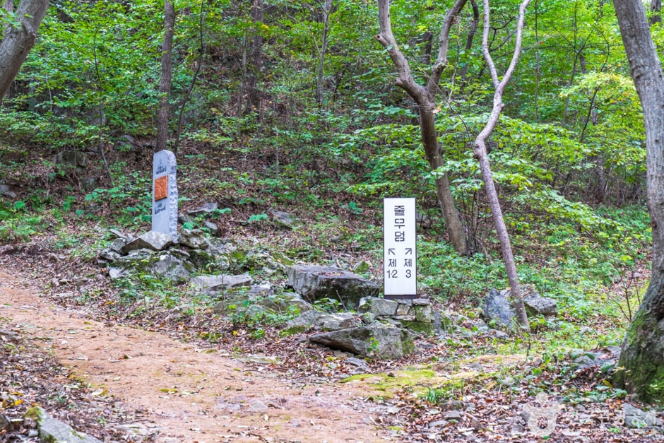청양 다락골 줄무덤 성지 여행 추천 - 메고지고 청양 다락골 줄무덤 성지 여행 추천 - 메고지고