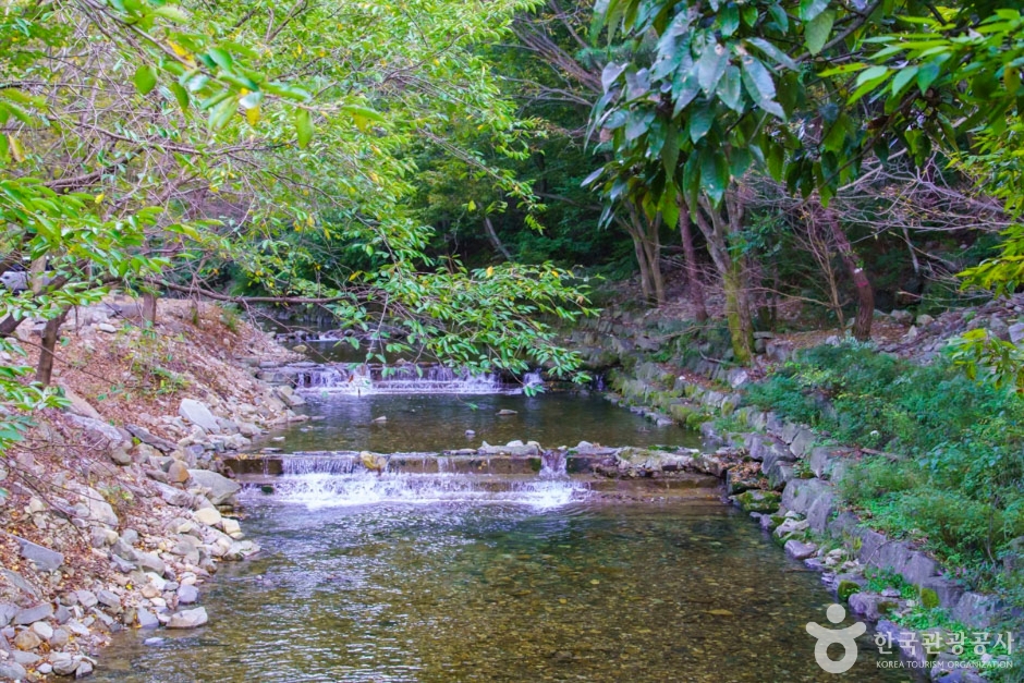 강당골계곡 여행 추천 - 메고지고 강당골계곡 여행 추천 - 메고지고