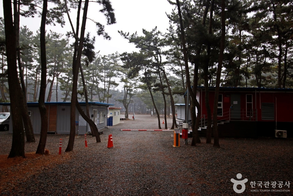 몽산포힐링캠핑장 여행 추천 - 메고지고