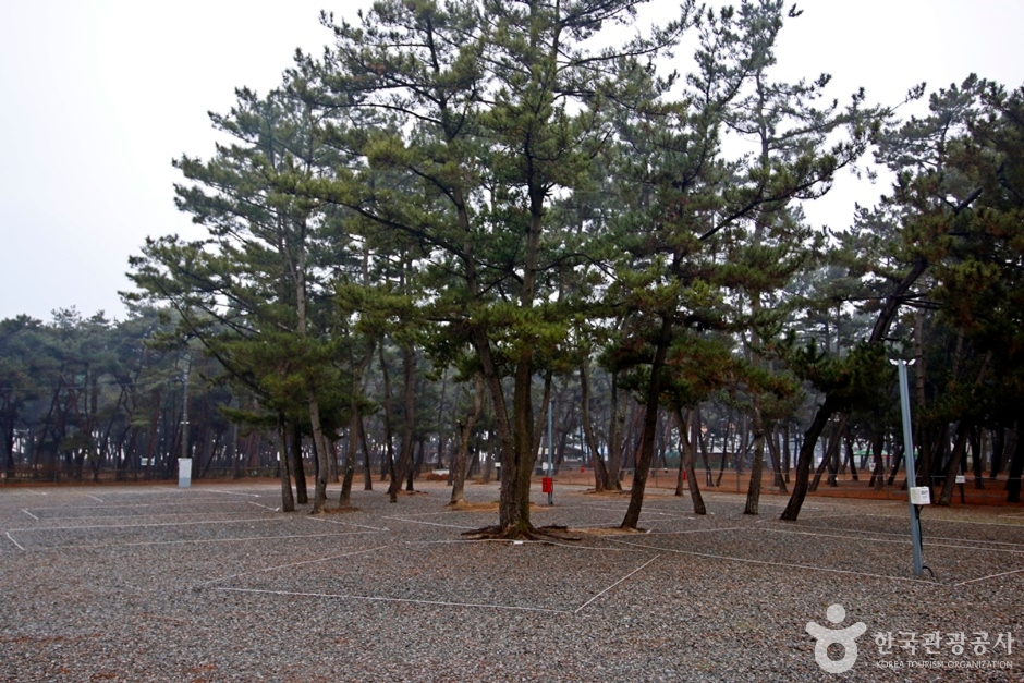 몽산포힐링캠핑장 여행 추천 - 메고지고