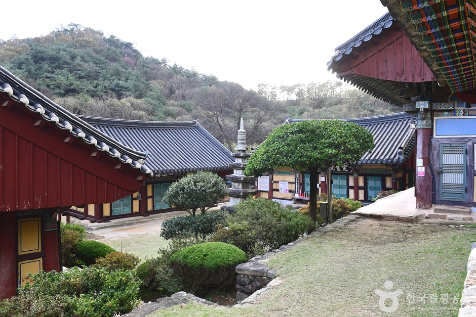 숭림사(익산) 여행 추천 - 메고지고 숭림사(익산) 여행 추천 - 메고지고
