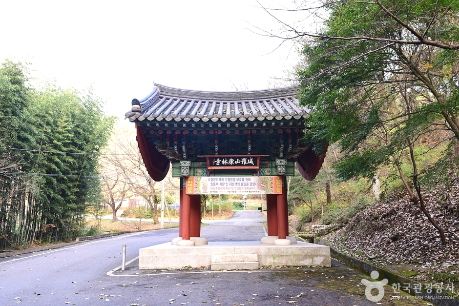 숭림사(익산) 여행 추천 - 메고지고 숭림사(익산) 여행 추천 - 메고지고