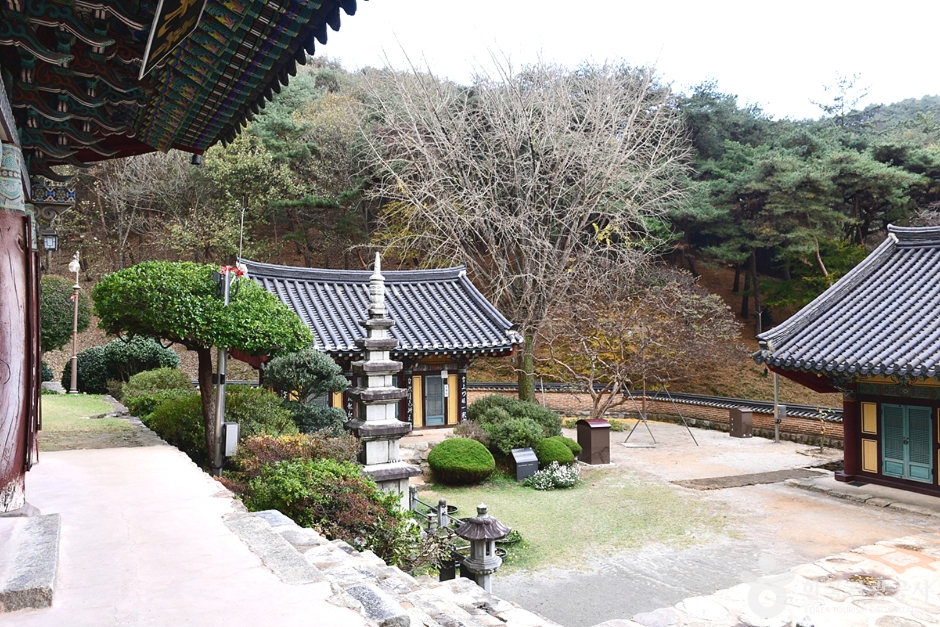 숭림사(익산) 여행 추천 - 메고지고 숭림사(익산) 여행 추천 - 메고지고