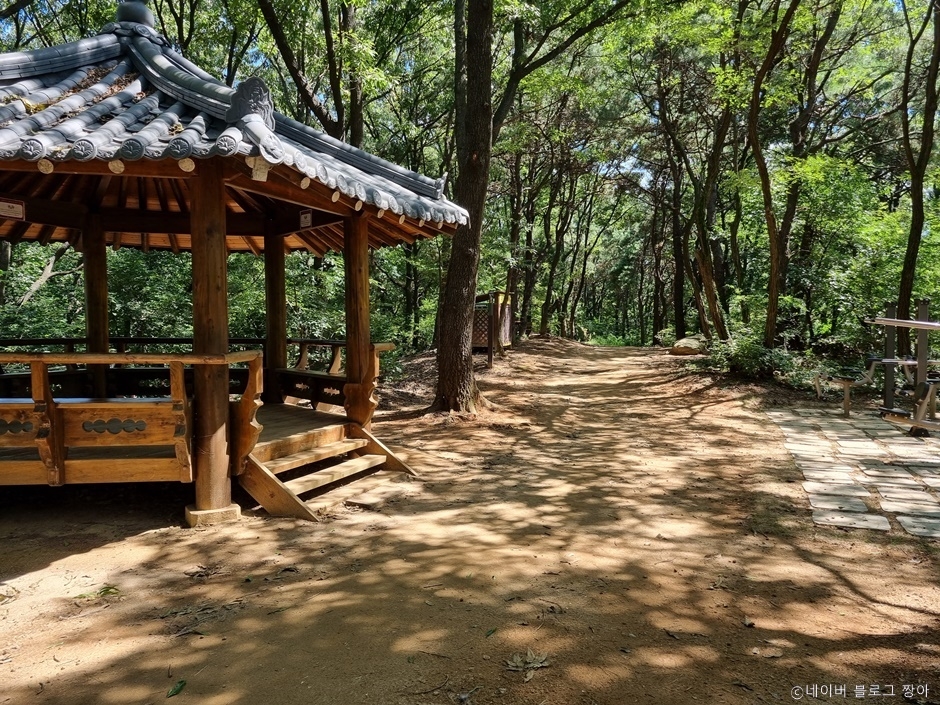 모담공원 여행 추천 - 메고지고 모담공원 여행 추천 - 메고지고