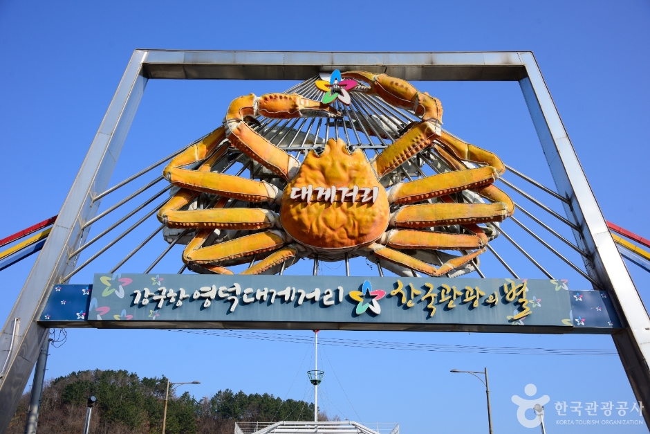 영덕대게보존마을 여행 추천 - 메고지고 영덕대게보존마을 여행 추천 - 메고지고