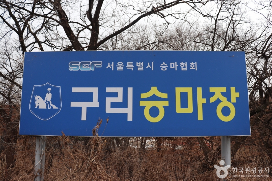 구리승마클럽 여행 추천 - 메고지고 구리승마클럽 여행 추천 - 메고지고
