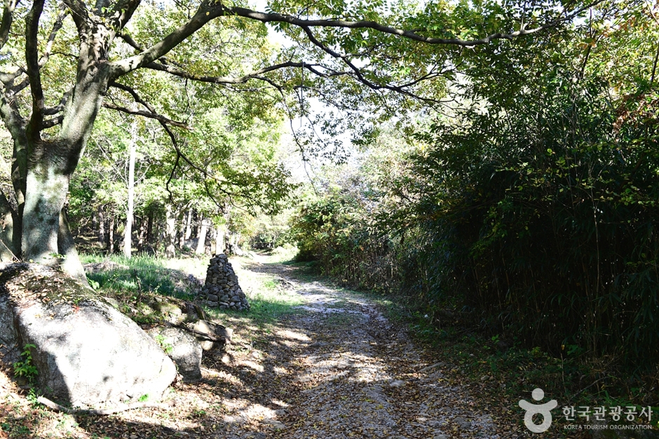 고산 여행 추천 - 메고지고 고산 여행 추천 - 메고지고