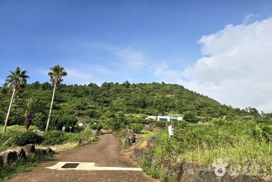 당산봉 여행 추천 - 메고지고 당산봉 여행 추천 - 메고지고