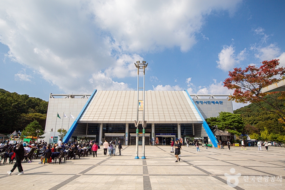 광명시민체육관 여행 추천 - 메고지고 광명시민체육관 여행 추천 - 메고지고
