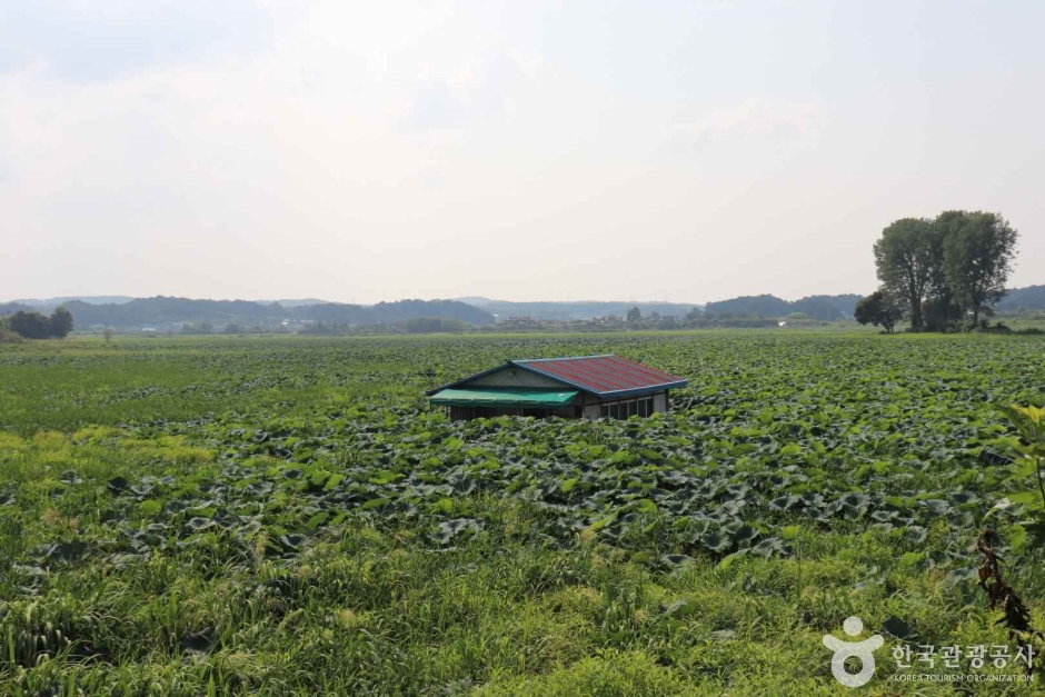 당진 오봉제 여행 추천 - 메고지고 당진 오봉제 여행 추천 - 메고지고