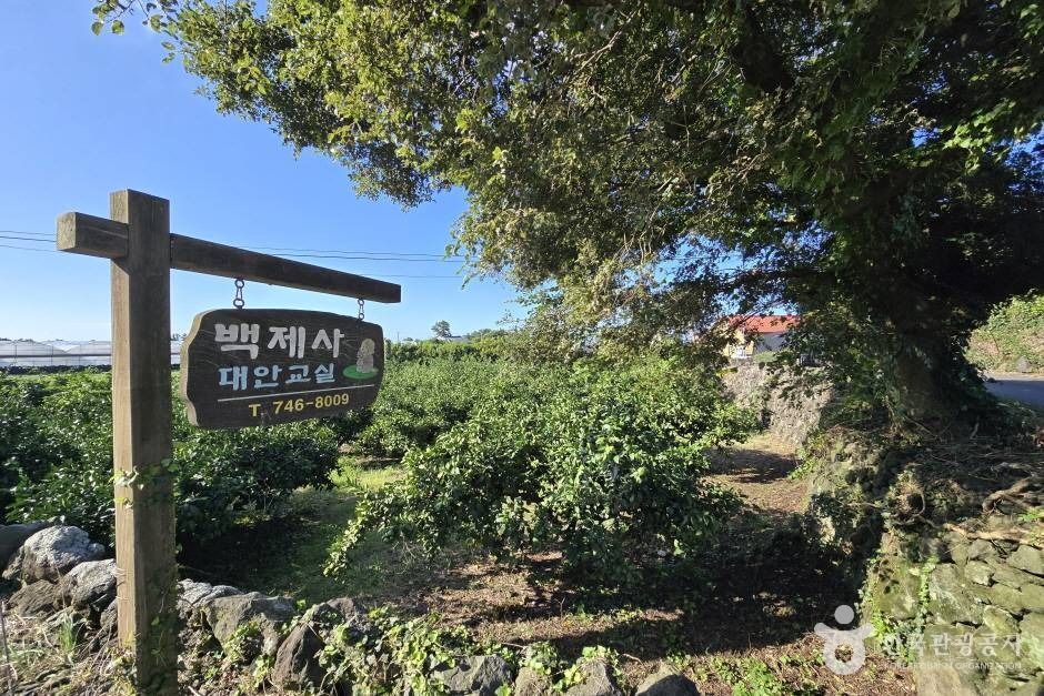 백제사 여행 추천 - 메고지고 백제사 여행 추천 - 메고지고