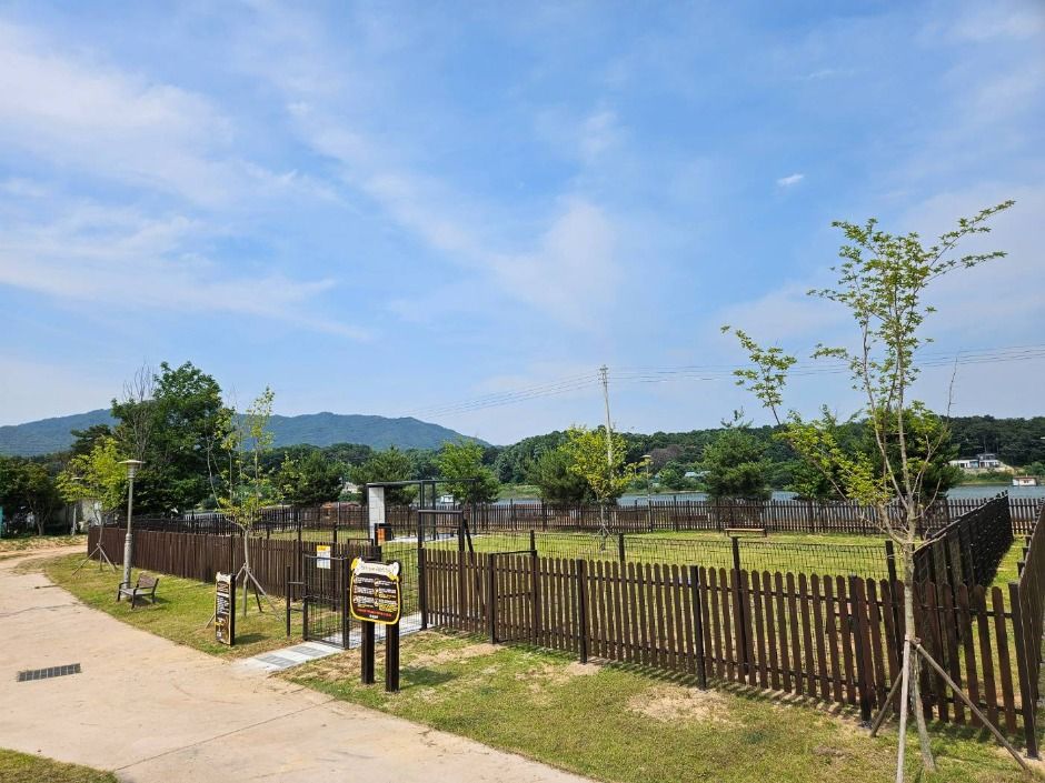 삼성 반려견 놀이터 여행 추천 - 메고지고