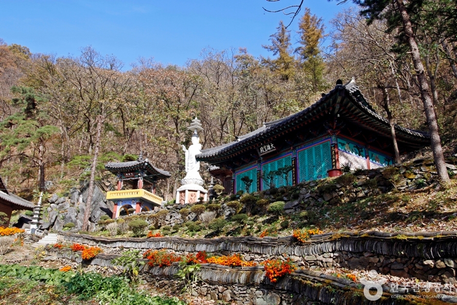 정심사(충주) 여행 추천 - 메고지고