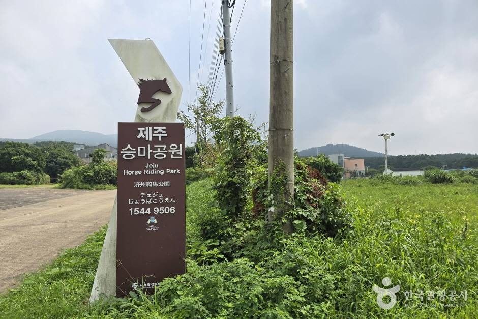 제주승마공원 여행 추천 - 메고지고 제주승마공원 여행 추천 - 메고지고
