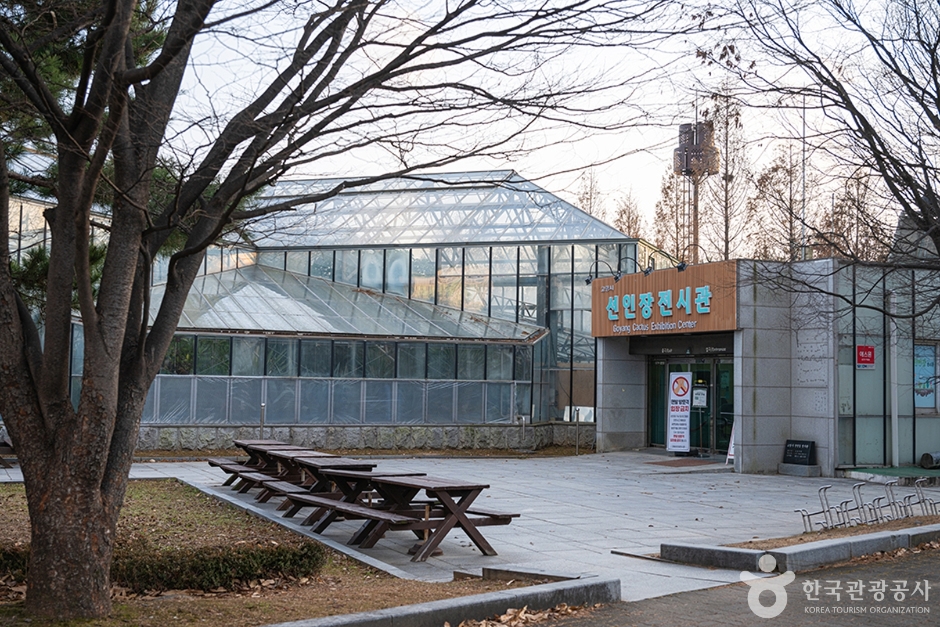 고양 선인장전시관 여행 추천 - 메고지고 고양 선인장전시관 여행 추천 - 메고지고