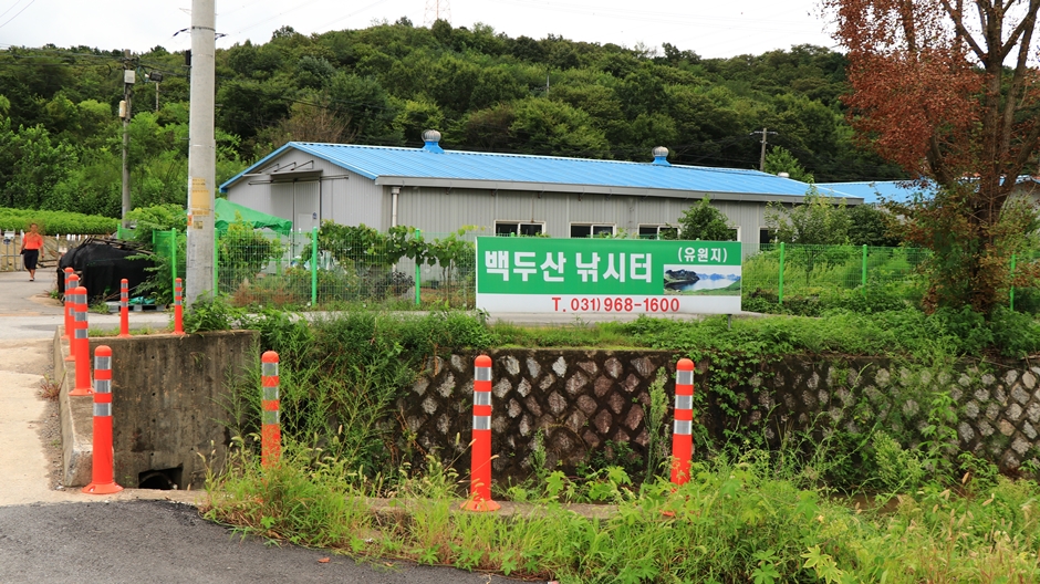 백두산낚시터 여행 추천 - 메고지고 백두산낚시터 여행 추천 - 메고지고
