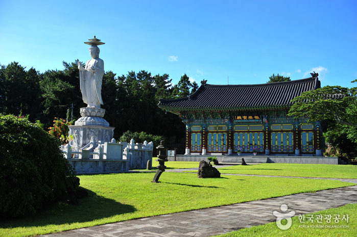 월정사(제주) 여행 추천 - 메고지고 월정사(제주) 여행 추천 - 메고지고