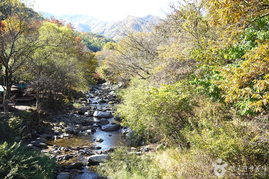 화악산 여행 추천 - 메고지고 화악산 여행 추천 - 메고지고
