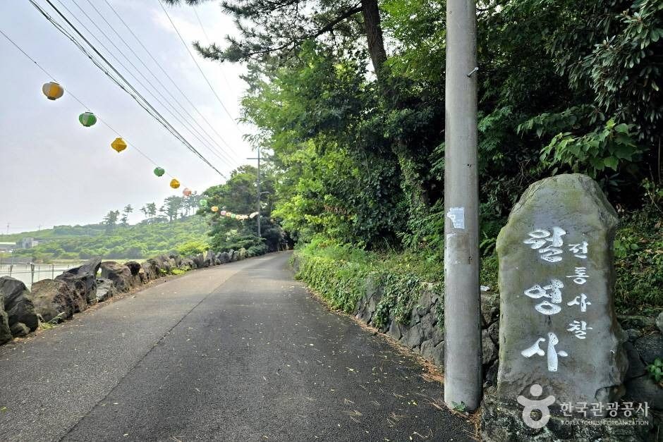 월영사(제주) 여행 추천 - 메고지고 월영사(제주) 여행 추천 - 메고지고