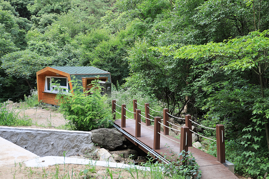 호명산잣나무숲속캠핑장 여행 추천 - 메고지고