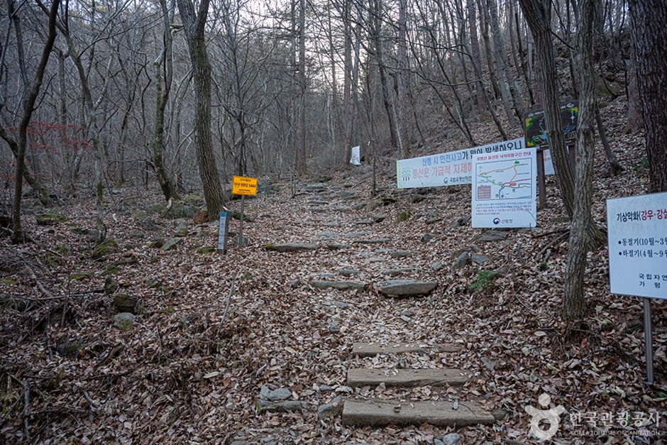 유명산 여행 추천 - 메고지고 유명산 여행 추천 - 메고지고