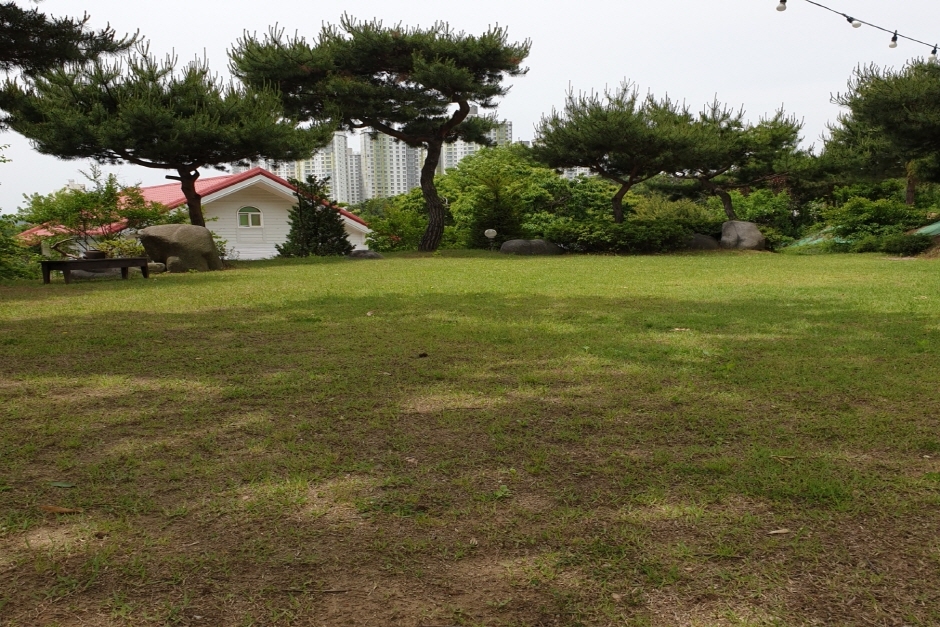 누리마루숲 여행 추천 - 메고지고 누리마루숲 여행 추천 - 메고지고