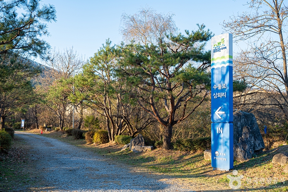 수풀로 삼회리 여행 추천 - 메고지고 수풀로 삼회리 여행 추천 - 메고지고