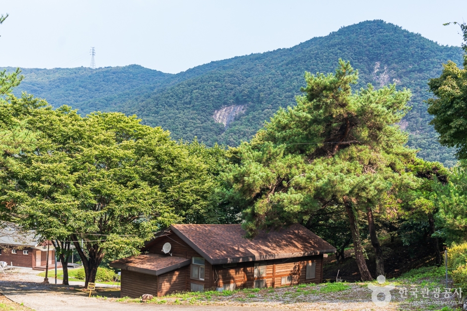 봉황자연휴양림 여행 추천 - 메고지고
